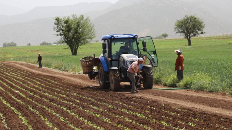 Ticaret Bakanlığı'ndan çiftçinin maliyetini düşürecek karar