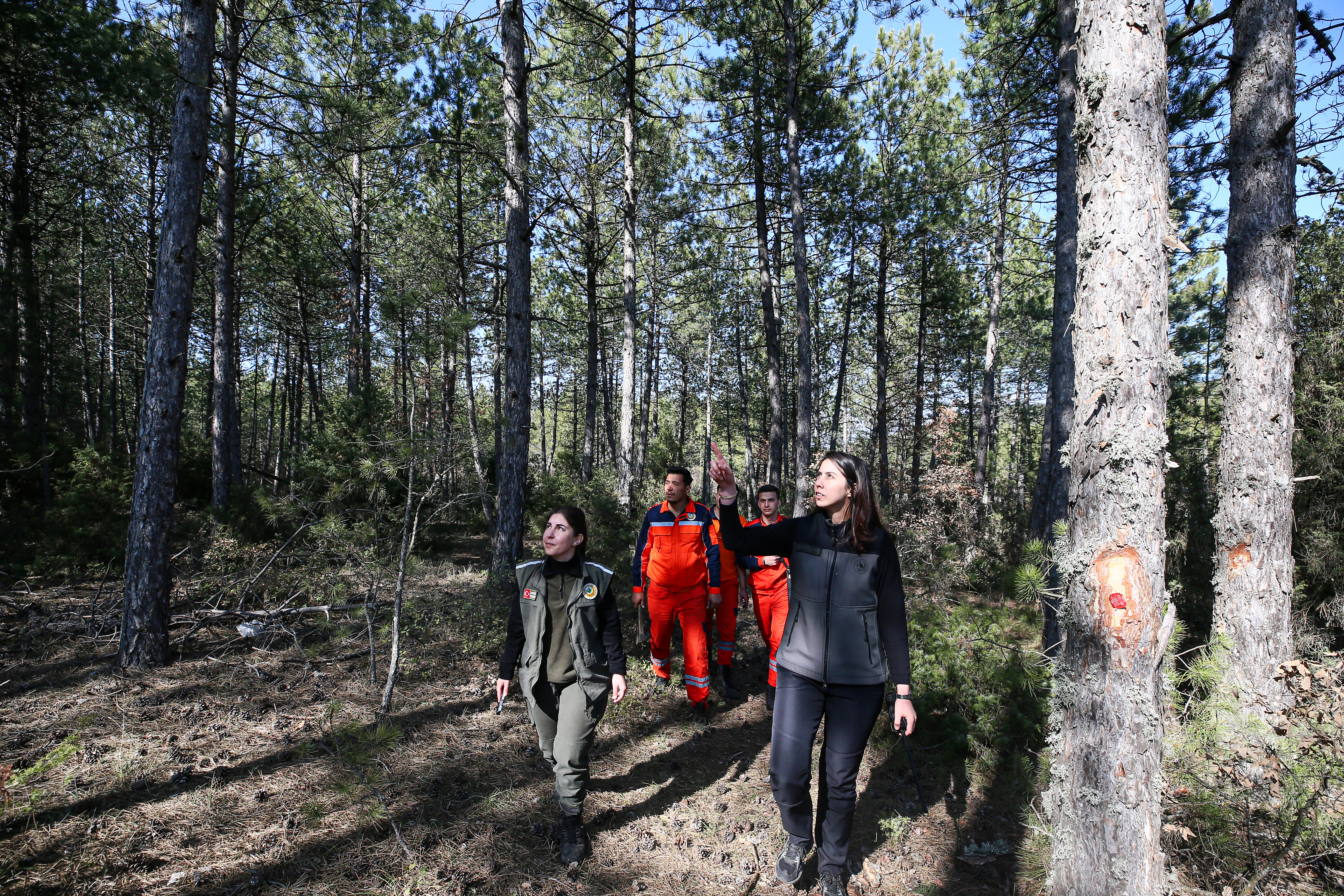 "Türkiye'nin akciğerleri" kadın ormancılara emanet