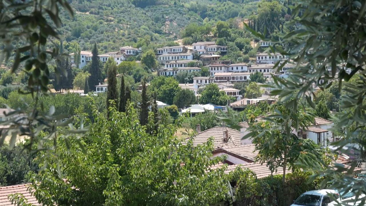 Türkiye'nin en ilginç köy isimleri: Panik, Dertli, Sinek