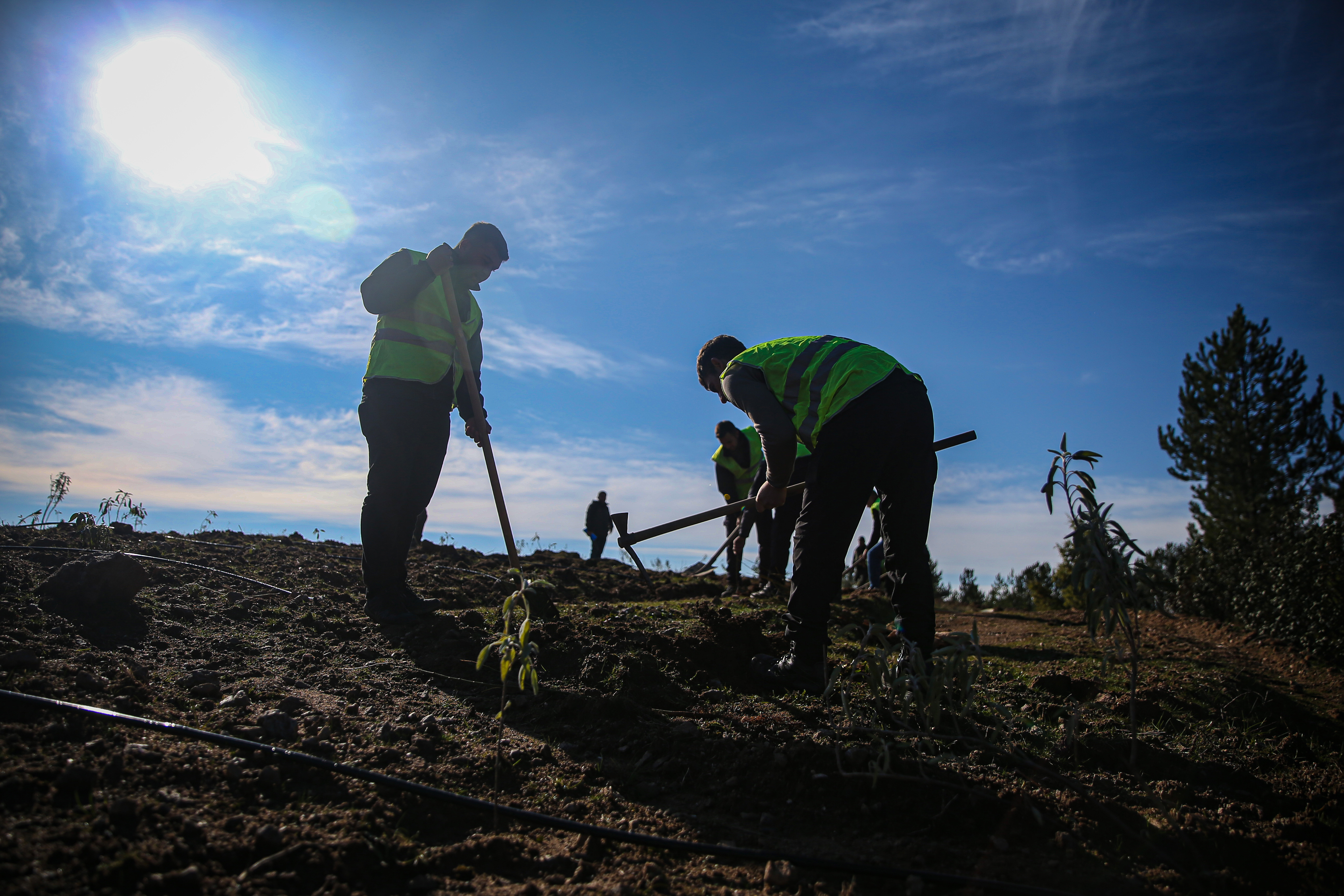 Uludağ eteklerinde oluşturulan bal ormanı arıcıları bekliyor