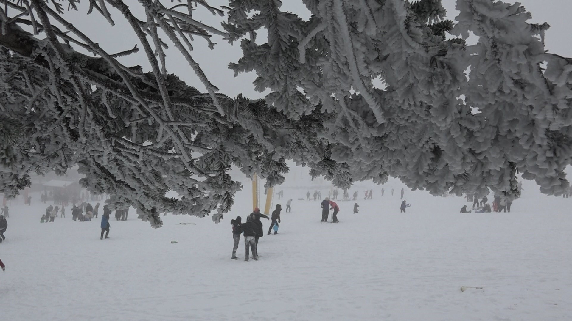Uludağ’da kar sevinci