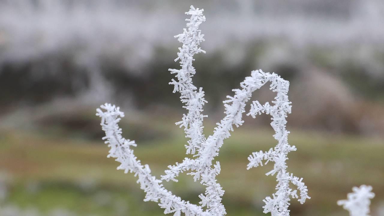 Zirai don ve yağış bekleniyor: 44 il için "sarı" uyarı