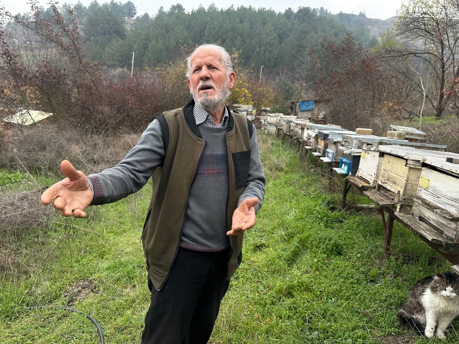 Zirai ilaç yüzünden milyonlarca arısı kovana dönemeden öldü